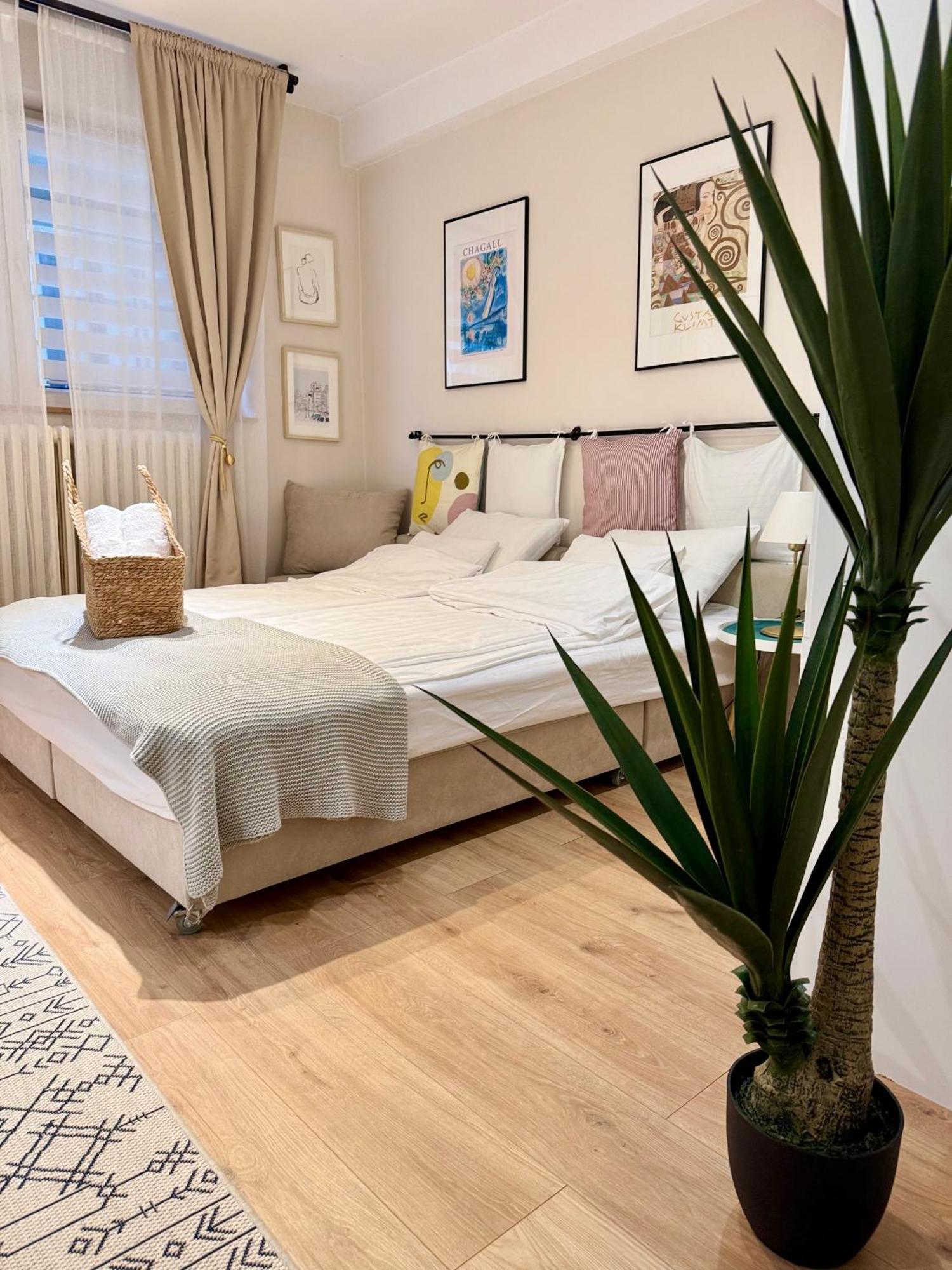 Cozy Haven Daire Belgrad Dış mekan fotoğraf